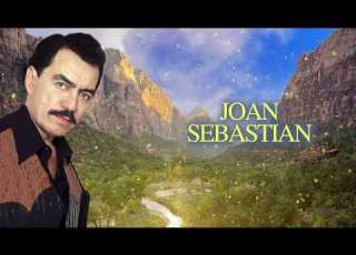 Joan Sebastian Como Tú Decidas Letra Oficial