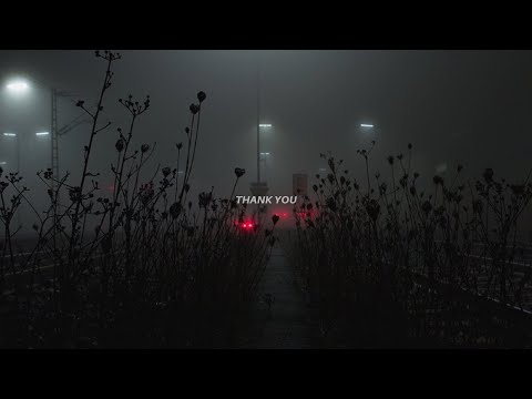 My Tea S Gone Cold I M Wondering Why