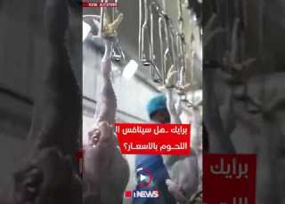 دجاج مسموم وعلف فاسد المنتج الوطني يقتل العراقيين اي نيوز