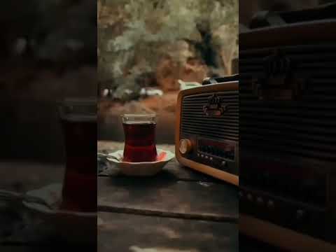 الله لطيف بعباده يرزق من يشاء وهو القوي العزيز الشيخ عبدالباسط عبدالصمد كأنه جالس بجوارك