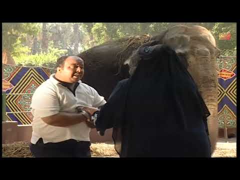 استعيد ذكريات رمضان ابراهيم نصر في احلى موسم للكاميرا الخفية الحلقة الخامسة عشر 15