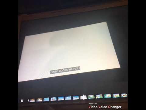 Opening To Enchanted 2008 DVD