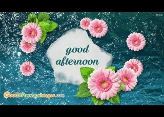  GOOD AFTERNOON WHATSAPP IMAGES