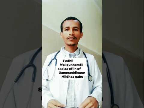 Fedhii Wal Qunnamtii Saalaa Ofiin Of Gammachiisuun Miidhaa Qabu Oromoo Oromomusic Oromo Shorts Fedhii Wal Qunnamtii Saalaa Ofiin Of Gammachiisuun Miidhaa Qabu Oromoo Oromomusic Oromo Shorts