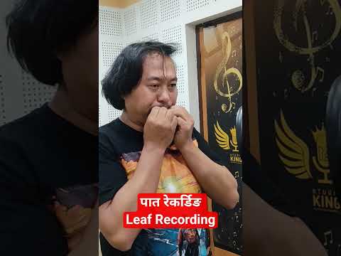 प त र कर ड ङ उदय ब घ ल म ब Studioking