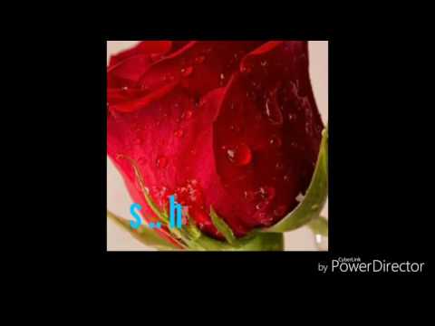 صلاح بن الباديه فات الاوان