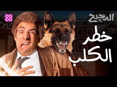 خطر الكلب الدحيح