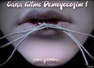  Samıme Sanay