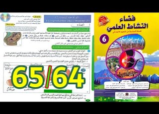  فضاء النشاط العلمي المستوى السادس ابتدائي الصفحة 64 65