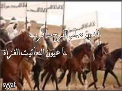 شيلة هاضني كلمات سيف المرشدي أداء فايز العتيبي