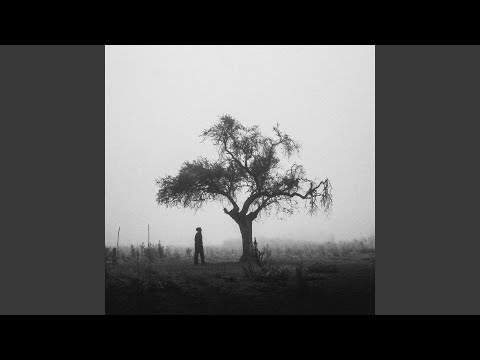 Tears Of The Believer