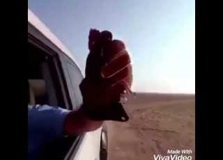  طير انا كنت و جناحي بالريح