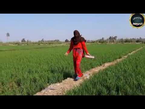 الحاج مسعود هيفصل تفاحه حيه