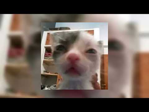 The Other Woman Lana Del Rey Sped Up The Other Woman Lana Del Rey Sped Up