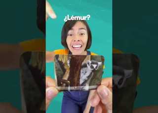 Jugando Con La Letra L Y Los Animales 123andres Musicainfantil Shortvideo Shorts Tarjetas