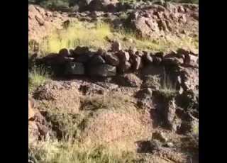 البكاء على الأطلال