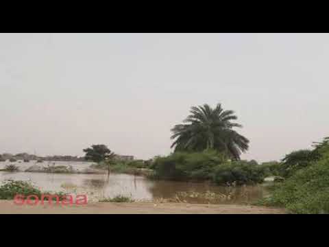 عبد الرؤوف ابوزيد تعال راجع تعال