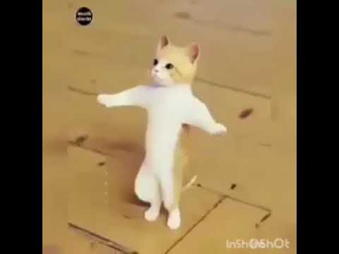 يالالا ولا لا عيد مبارك عساكم من عواده تهنئة العيد يالالا ولا لا عيد مبارك عساكم من عواده تهنئة العيد