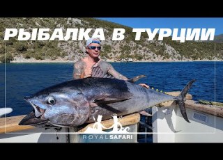 Если утащит то вместе с катером Шикарная рыбалка на тунца в Турции