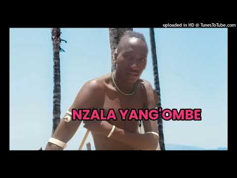 Nzala Yang Ombe Song Madimi Mpya 2026 By Tungu Studio