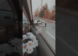  شبيه ك بدر التم عبد الرحمن محمد