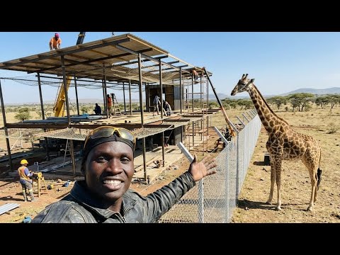 Finally Big Construction Begins And Wildlife Surrounds My Home