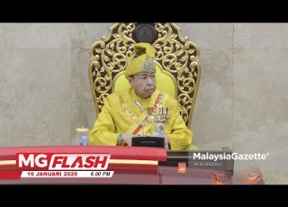Sultan Selangor Usul Wakil Rakyat Tinggal Berdekatan Kawasan Penternakan Babi MGFlash