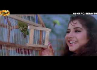  Aashiqi Mein Har Aashiq Ho Jata Hai Majboor Jhankar Dil Ka Kaya Qusoor 1992 Sadhna Sargam