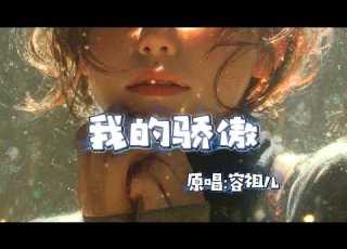适合唱K 我的骄傲 Heavy R B Version 告别陈旧感 重塑深夜最丝滑的自豪