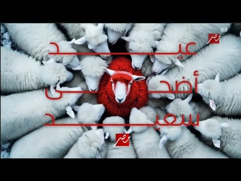 MBC MASR Ident Rareee Eid Al Adha 2025 MBC MASR Ident Rareee Eid Al Adha 2025