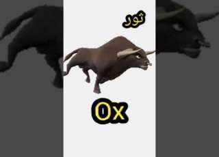 نطق كلمة Ox باللغة الإنجليزية نطق كلمة Ox انطقها صح English Learnenglish English