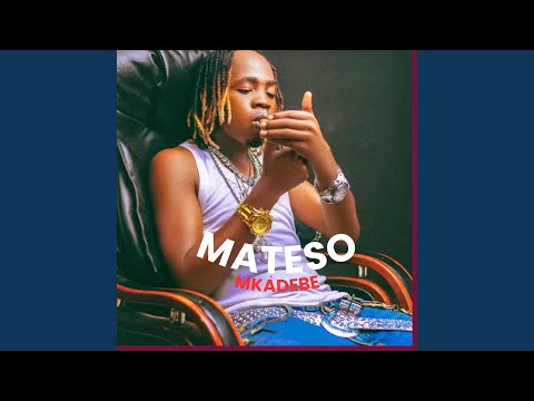 Pesa 2025 Remastered