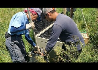  Why Wastewater Treatment Facilities Are Testing Denitrifying Woodchip Bioreactors