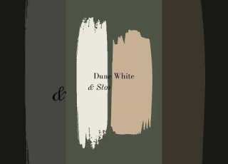  What Colors Go With Benjamin Moore Vintage Vogue More Details In Description