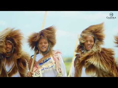 Gammadaa Beenyaa Foollee Coming Soon 2025