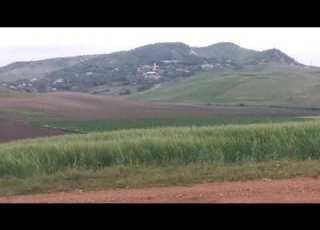 موسيقى الزمن الجميل برنامج بلادي