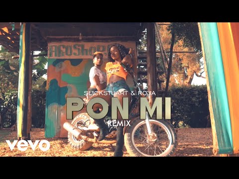 DJ Slick Stuart DJ Roja Beenie Gunter Skales PON Mi Remix