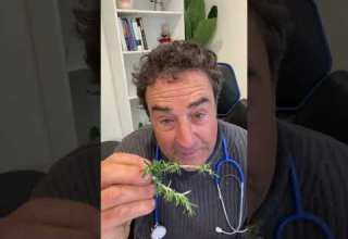 The Best Health Benefits Of Rosemary Shorts