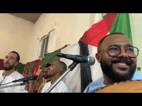 أمرك باقي محيرني حكيم حمودة