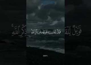  سورة الزمر محمد المحيسني