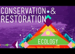 Conservation And Restoration Ecology Crash Course Ecology 12