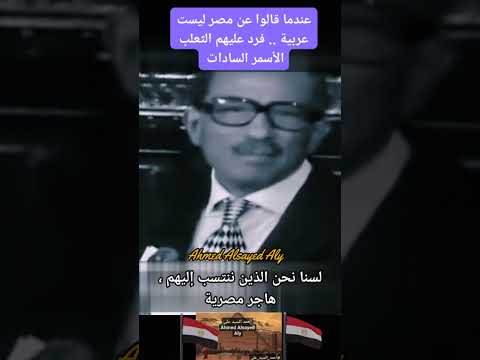 When They Said That Egypt Is Not Arab Ahmed Elsayed Ali