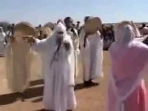 نايلي امشي بالنية يا قلبي تزها في الدنيا