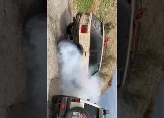 اسود الصحراء البغدادي راعي الرنج