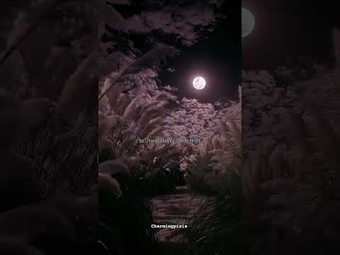 Eminem MockingBird Lyrics I Know Mom S Not Here Right Now Shorts Lyrics Edit