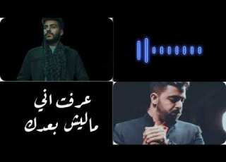 حالات واتس عمرو حسن و أحمد كامل حزين Shorts