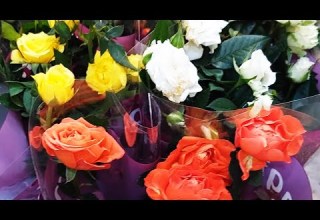 الورد الجوري الصيني هو نوع من النباتات يتبع جنس الورد وسمي هذا النوع نسبة إلى الصين