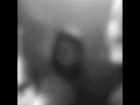 حنين القصير شلونك ياحبابي حالات واتس ستوري 2021 1 1