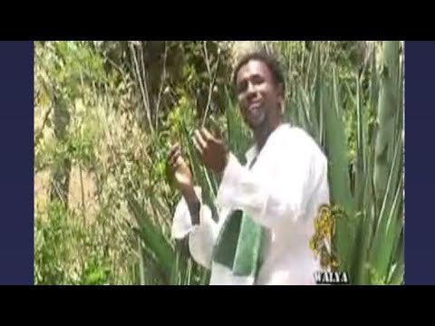 Nu Gubate Garaani Ashannaafii Yohaannis 2024 New Oromo Music 2024 Sirba Durii Nu Gubate Garaani Ashannaafii Yohaannis 2024 New Oromo Music 2024 Sirba Durii