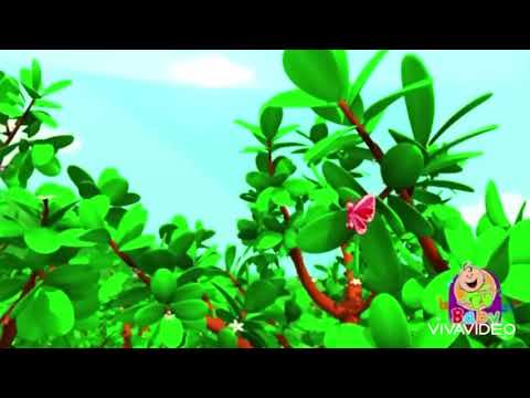 بالمعكوس اغنية الفراشة طيور بيبي